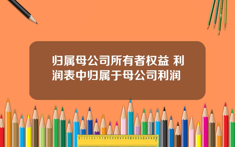 归属母公司所有者权益 利润表中归属于母公司利润